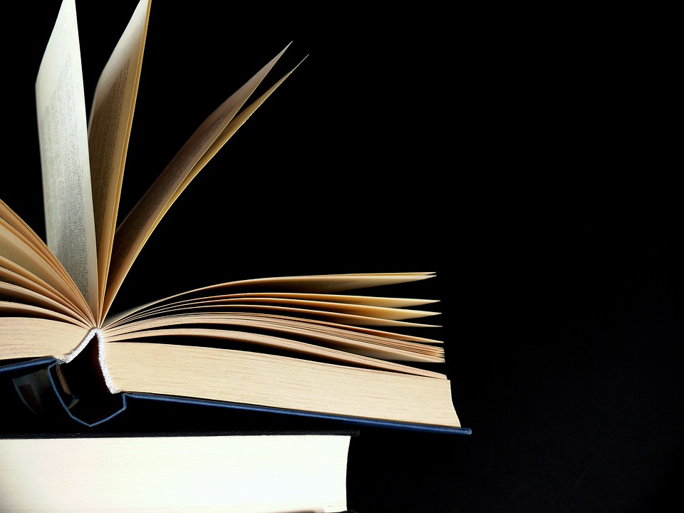 ¿Cuál es la etimología de la palabra sabiduría?