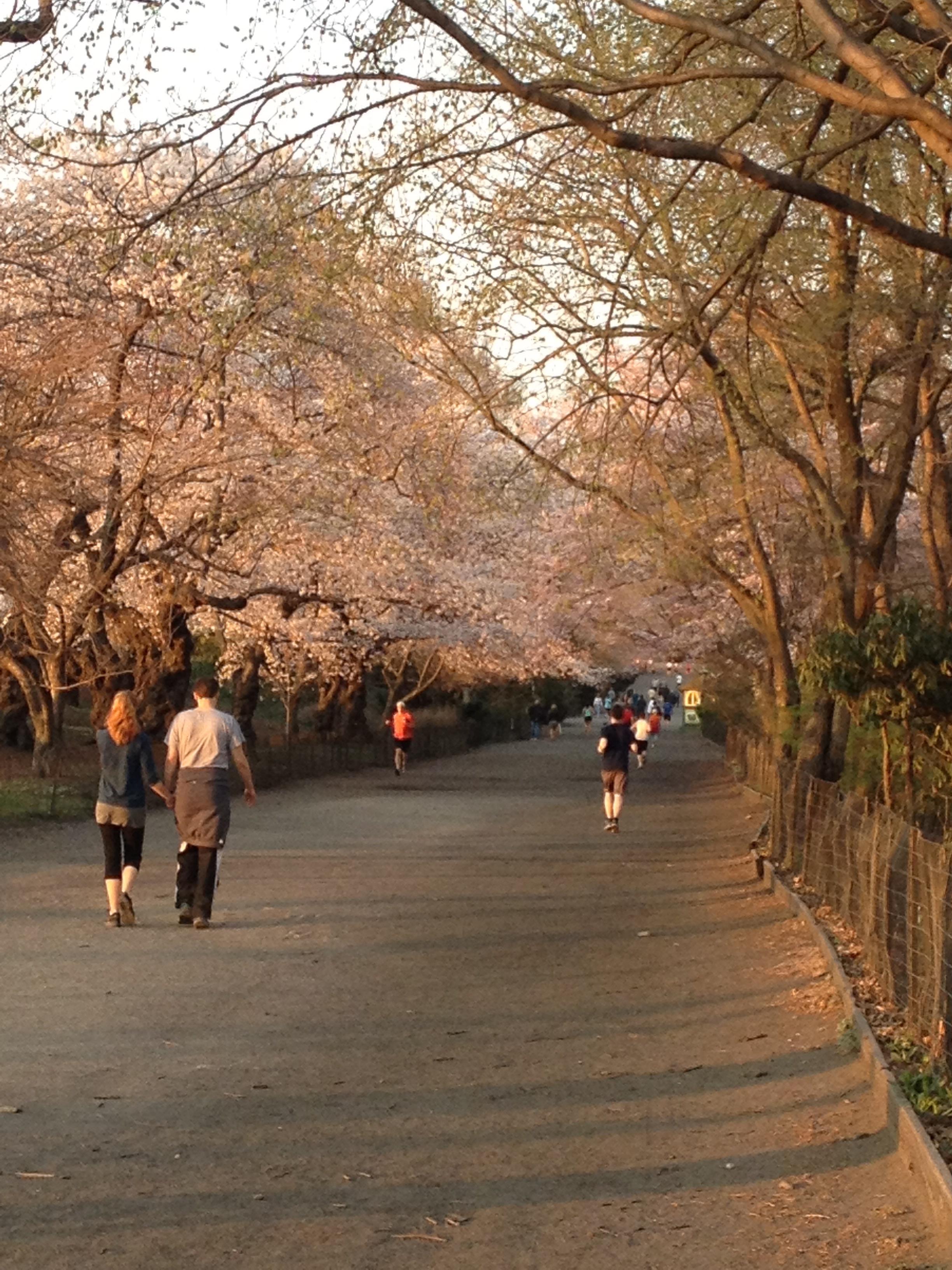 Amabilidad, sentimientos, sabiduría