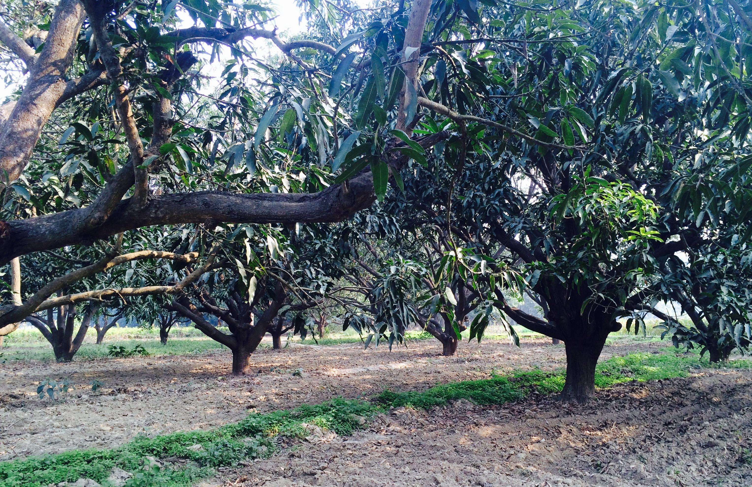 La sabiduría es un músculo: hazlo crecer y mantenlo fuerte (1°Parte)
